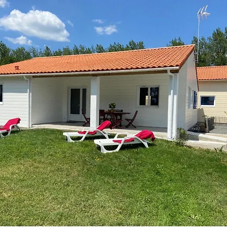 Les De Sophie 85 Agapanthe * Saint-Gervais (Vendee)